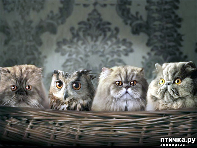 ���� 17: ������� �����