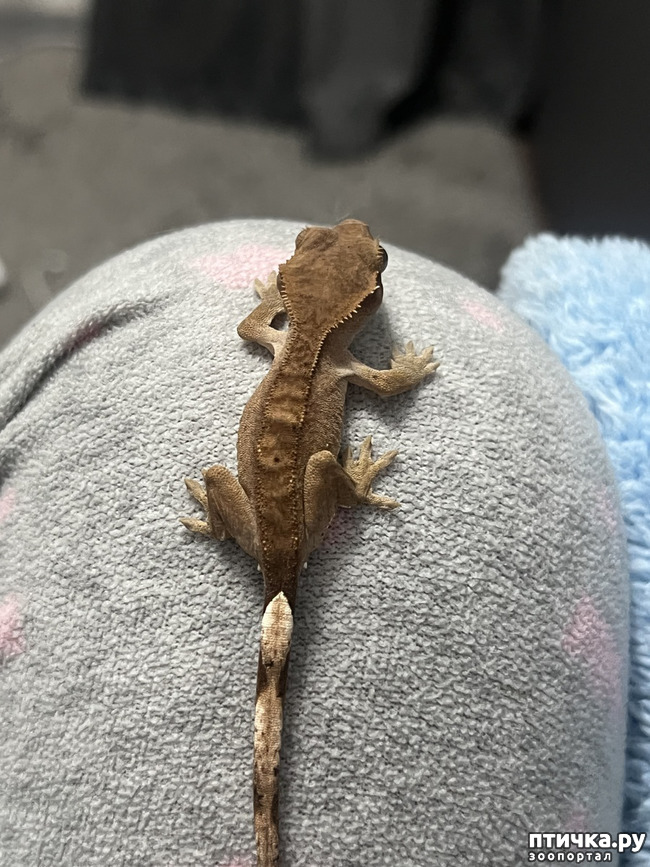 ���� 2: ��������� ���������