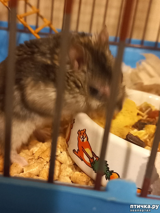 ���� 2: �������� � �������� � ������