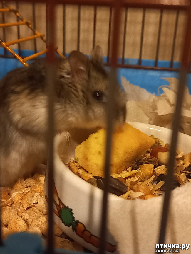 ���� 1: �������� � �������� � ������