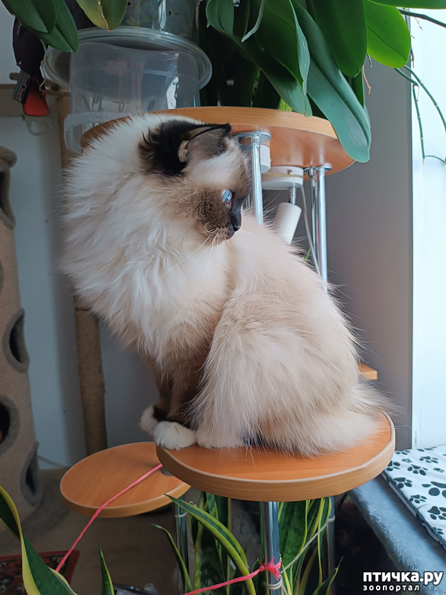 ���� 1: � ����� ����� ��������...