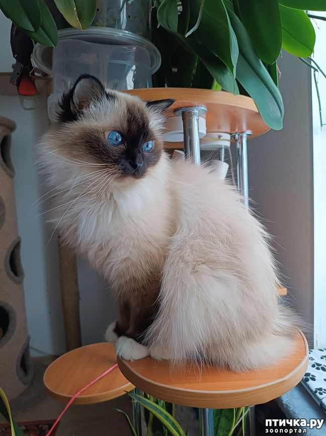 ���� 2: � ����� ����� ��������...