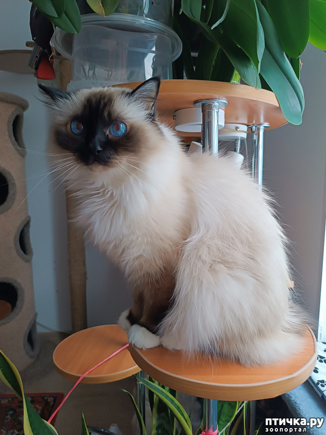 ���� 3: � ����� ����� ��������...