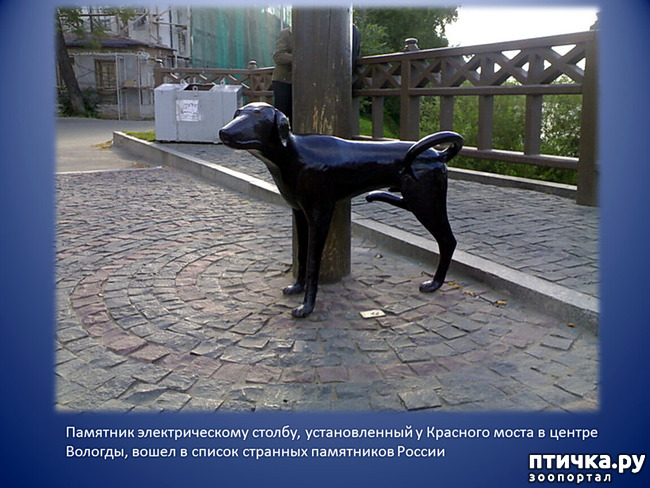 ���� 7: ������: ������� � ���������