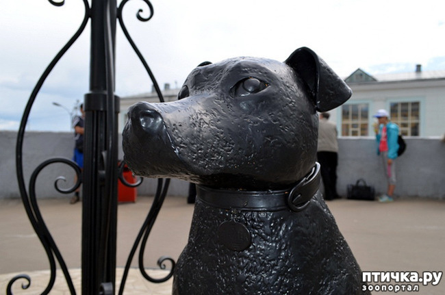 ���� 8: ������: ������� � ���������