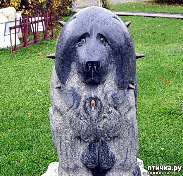 ���� 10: ������: ������� � ���������