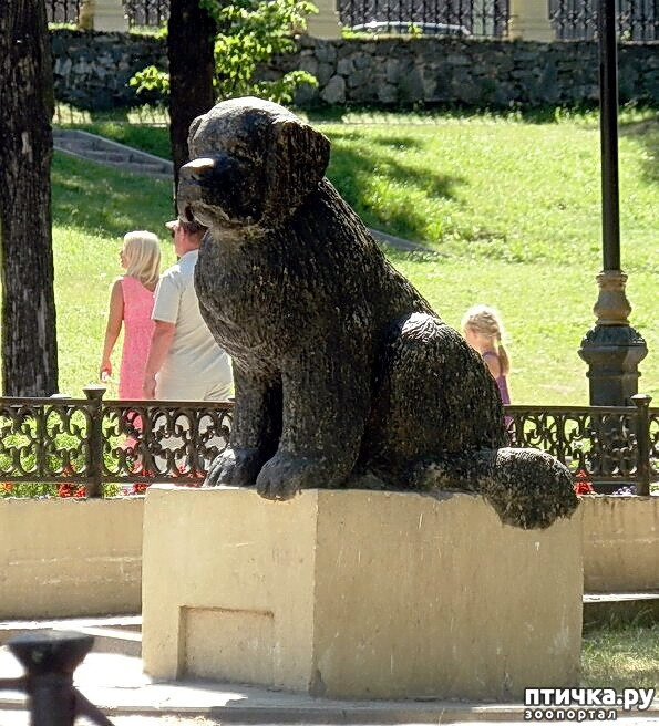 ���� 13: ������: ������� � ���������