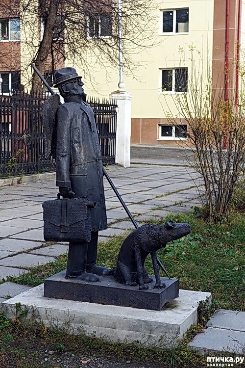 ���� 18: ������: ������� � ���������