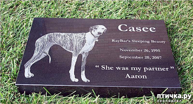 ���� 19: ������: ������� � ���������