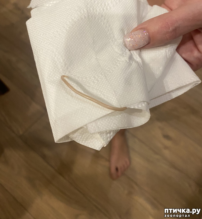 ���� 1: � ����� ����� ����� ������������ ���������� ����� �����, ��� ������? ��� ���� � ������ ����? ��� ����������?