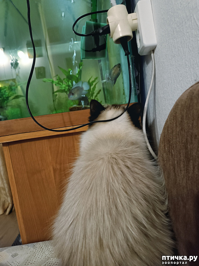 ���� 1: ������� ������