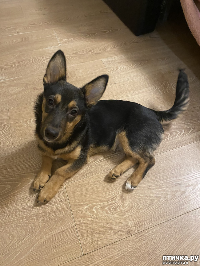 ���� 1: ���������� ��� �� ������?