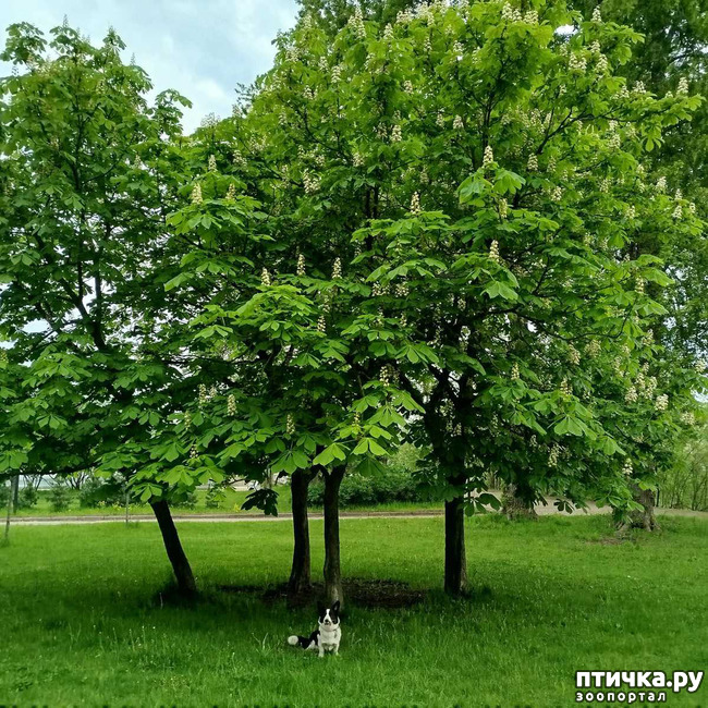 ���� 3: ������� ���������