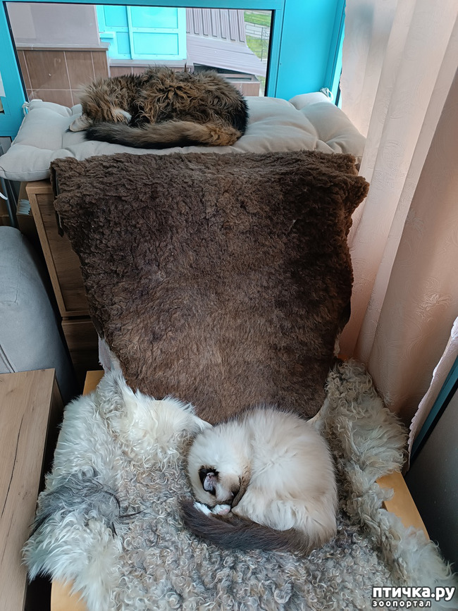 ���� 2: ��������