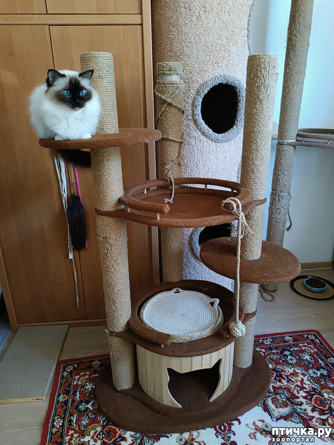 ���� 1: ��������