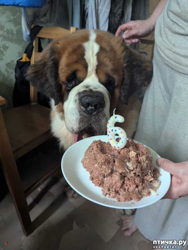 ���� 2: ����� �����!