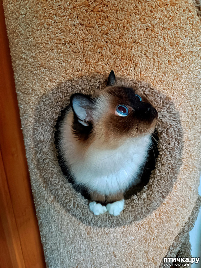 ���� 1: ������ ��-��