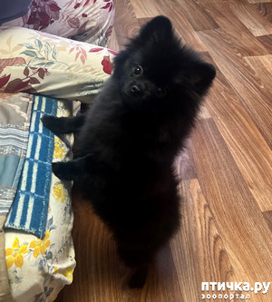 ����: ������ ����� �������