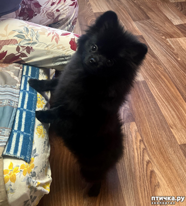 ���� 1: ������ ����� �������