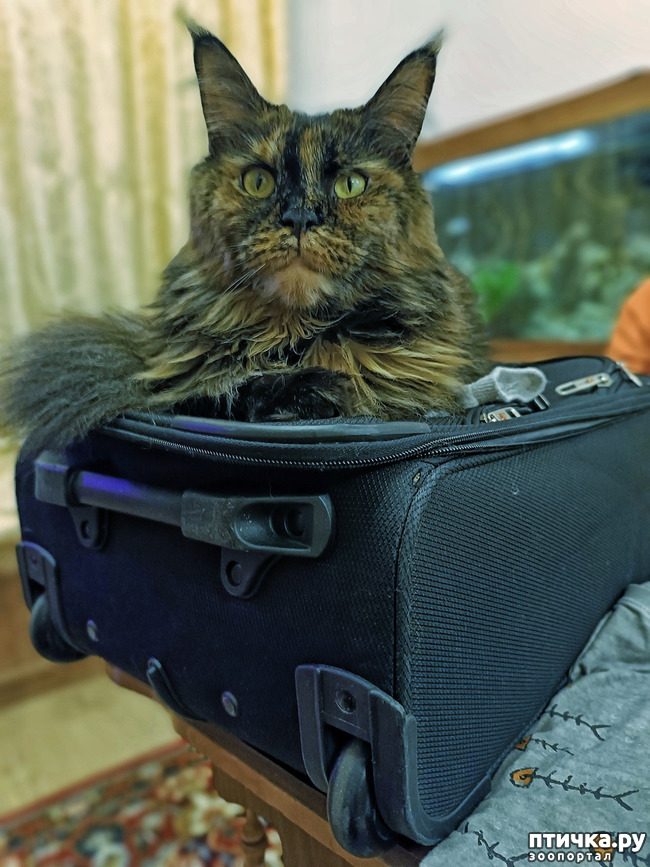 ���� 1: ������ �����