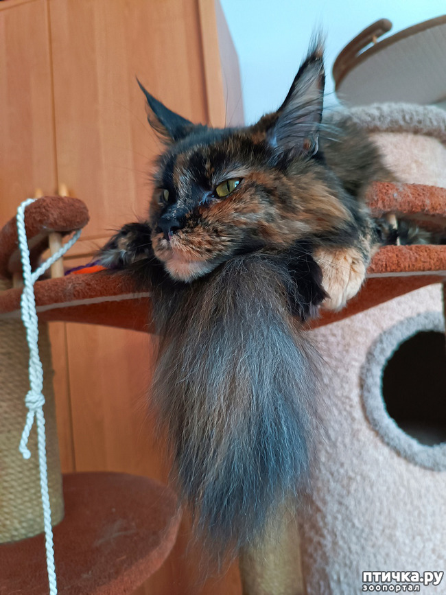 ���� 2: ������ �����