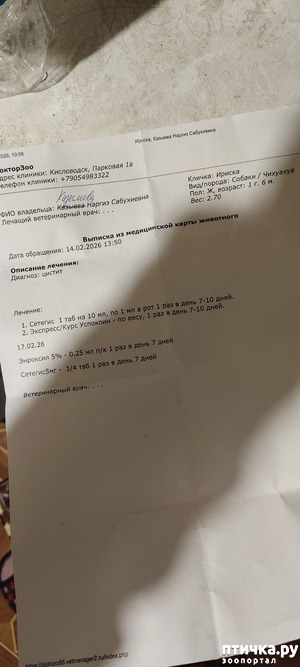 ����: ������ ������ �� �������