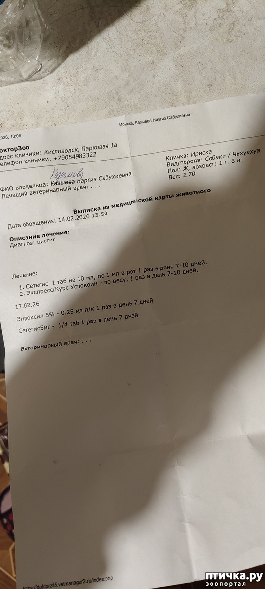 ���� 1: ������ ������ �� �������