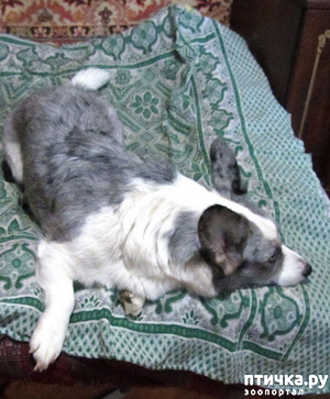 ����: � �������� �����