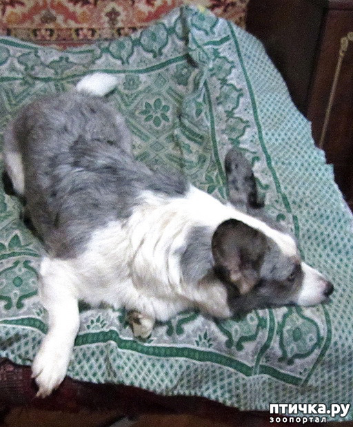 ���� 1: � �������� �����