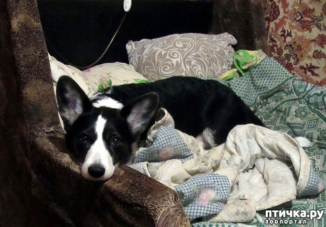 ���� 2: � �������� �����