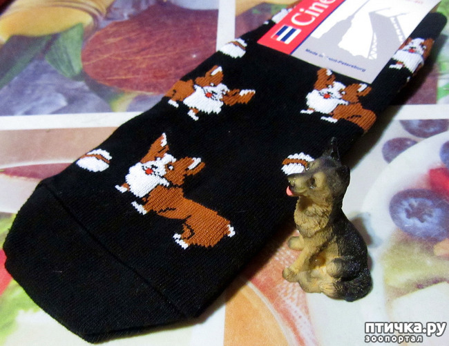 ���� 3: � �������� �����