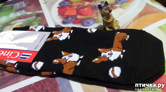 ���� 4: � �������� �����