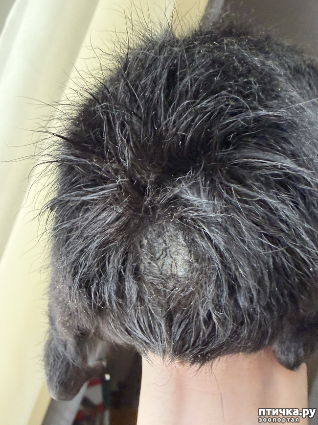 ���� 2: ������ � ������� ������