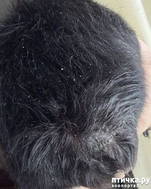 ����: ������ � ������� ������