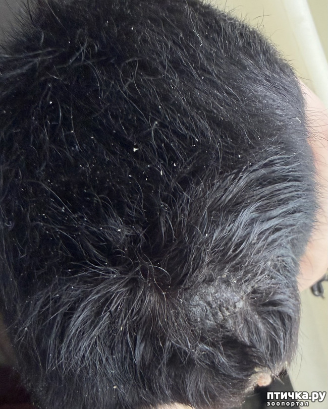 ���� 1: ������ � ������� ������