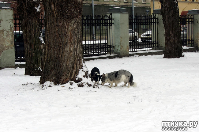 ���� 2: ����������� ��������