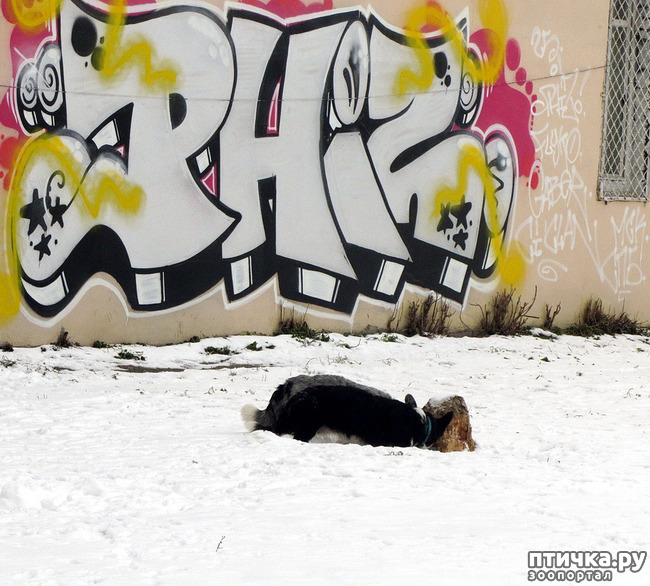 ���� 1: ����������� ��������