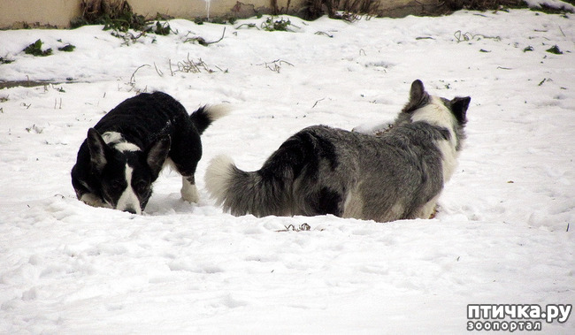 ���� 3: ����������� ��������