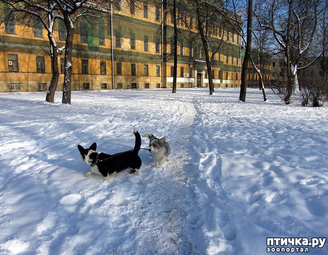 ���� 6: ����������� ��������