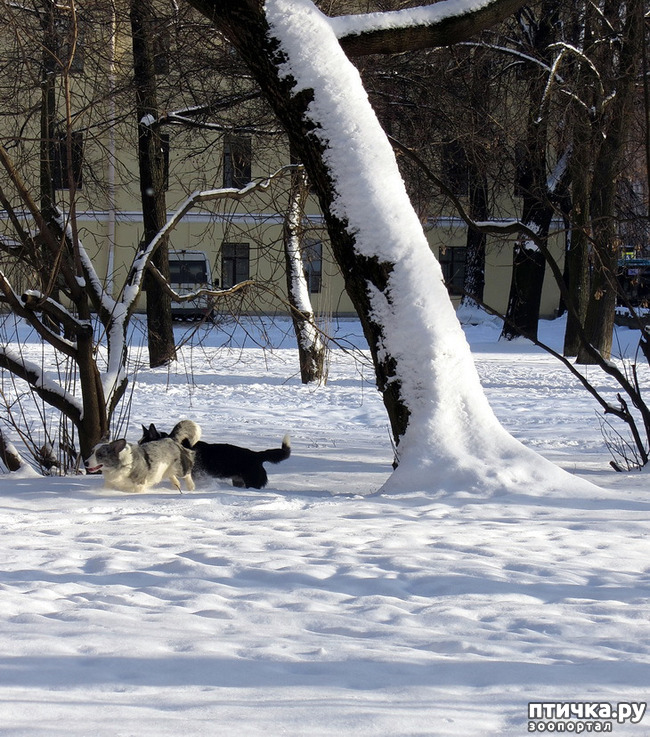 ���� 8: ����������� ��������