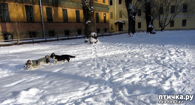 ���� 9: ����������� ��������