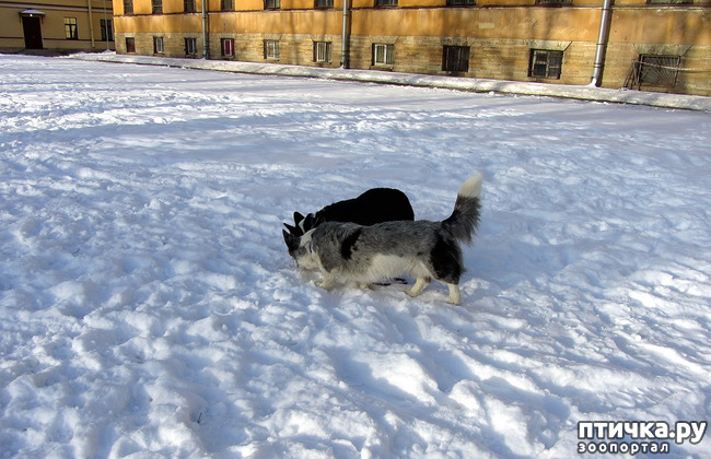 ���� 12: ����������� ��������