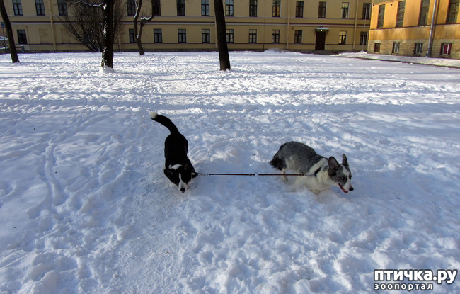 ���� 14: ����������� ��������