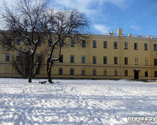 ���� 16: ����������� ��������