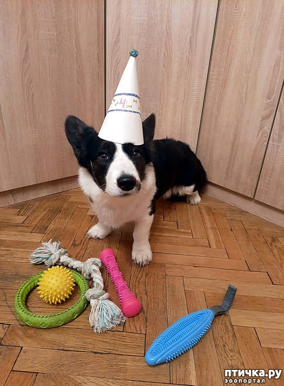 ���� 1: ����������� �������