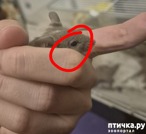 ����: � ����� ������� ����