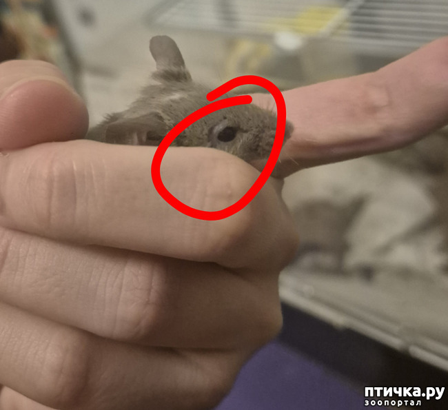 ���� 1: � ����� ������� ����