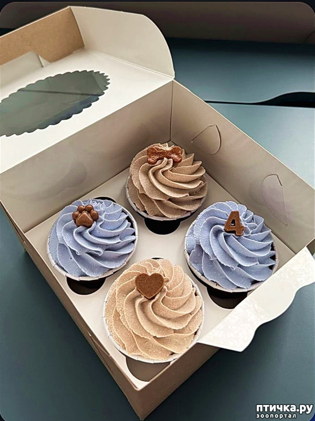 ���� 4: ����������� �������