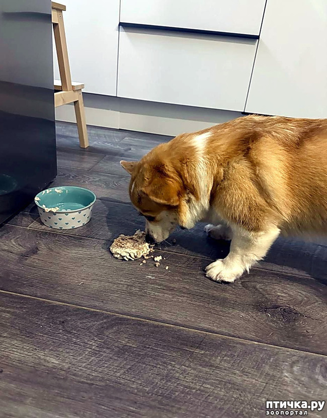 ���� 5: ����������� �������