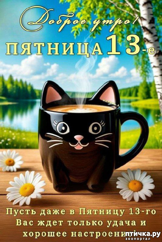 ���� 1: � ����� ������� 13)))